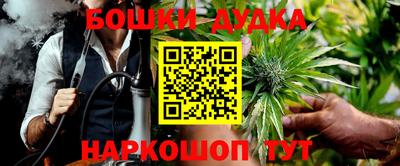 ешки Новокубанск