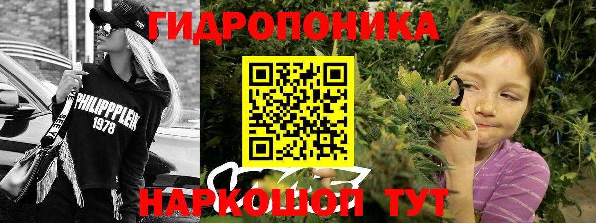 Канабис гибрид Солнечногорск